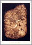 click for larger image